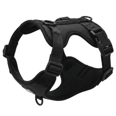 Frenchie Harness