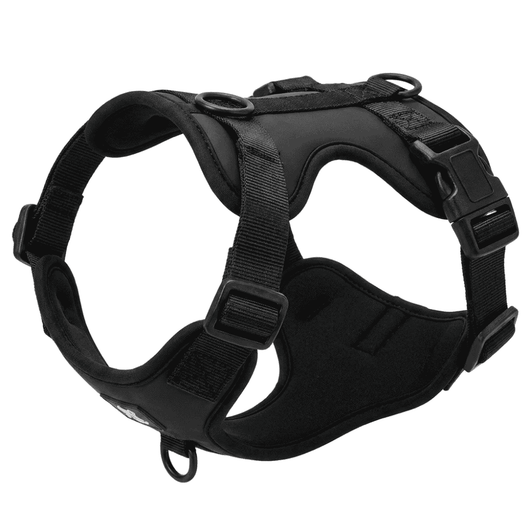 Frenchie Harness