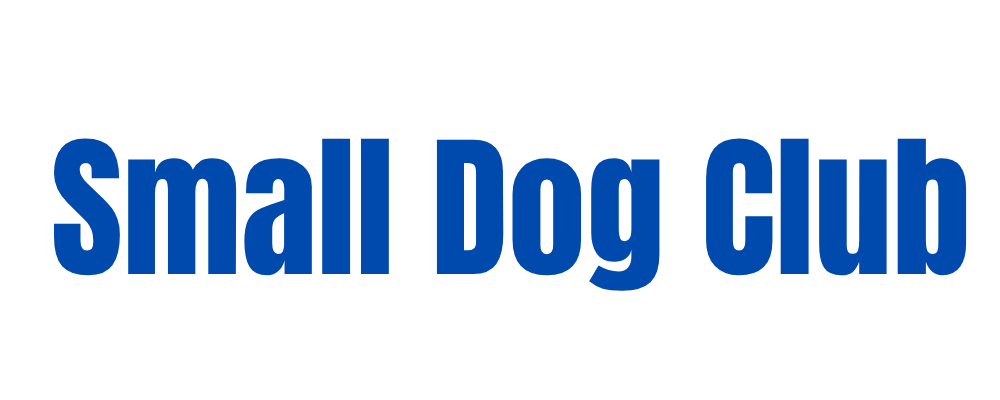 Small Dog Club